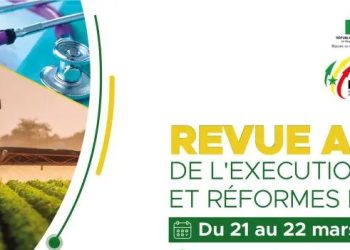 Le Plan Sénégal Emergent est une « réussite » (DG)