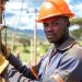 Emission d’obligations vertes et durables: Senelec et BOAD Titrisation mobilisent 120 milliards FCFA